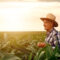 Dia do Agricultor 2021 – Agricultor que Preserva e Produz