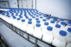 Produtos lácteos têm queda generalizada em novembro